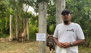 21 Juli, PKB Riau Sembelih Lima Ekor Sapi Qurban